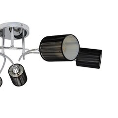 Потолочный светильник Ripoli цена и информация | Потолочные светильники | kaup24.ee