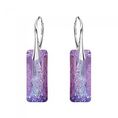 Naiste kõrvarõngad Diamond Sky „Growing Crystal II (Vitrail Light)“ koos Swarovski kristallidega DS02A525 hind ja info | Kõrvarõngad | kaup24.ee