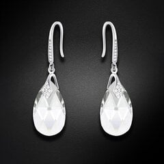 Naiste kõrvarõngad Diamond Sky „Baroque III“ koos Swarovski kristallidega DS02A532 hind ja info | Kõrvarõngad | kaup24.ee