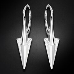 Серебряные серьги "Шип II" с кристаллами Swarovski™ DS02A545 цена и информация | Серьги | kaup24.ee