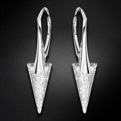 Hõbedast kõrvarõngad "Spike II (Silver Patina)" Swarovski™ kristallidega DS02A548 цена и информация | Серьги | kaup24.ee