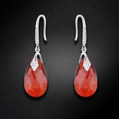 Naiste kõrvarõngad Diamond Sky „Baroque III (Red Magma)“ koos Swarovski kristallidega DS02A553 цена и информация | Серьги | kaup24.ee