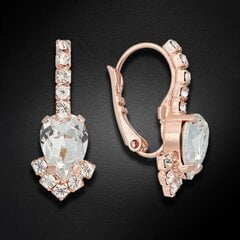 Naiste kõrvarõngad Diamond Sky „Leonora II" koos Preciosa kristallidega DS02A556 hind ja info | Kõrvarõngad | kaup24.ee