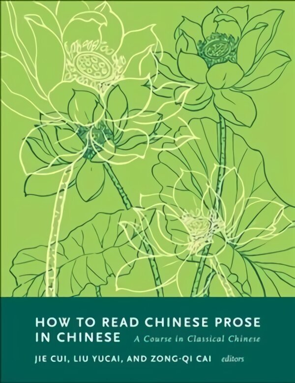 How to Read Chinese Prose in Chinese: A Course in Classical Chinese цена и информация | Võõrkeele õppematerjalid | kaup24.ee