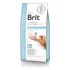 Brit GF Veterinary Diets täiskasvanud koertele koos lambaliha ja hernestega Obesity, 12 kg цена и информация | Сухой корм для собак | kaup24.ee