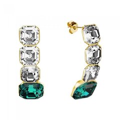 Naiste kõrvarõngad Diamond Sky „Imperial (Emerald)“ koos Swarovski kristallidega DS02A564 hind ja info | Kõrvarõngad | kaup24.ee