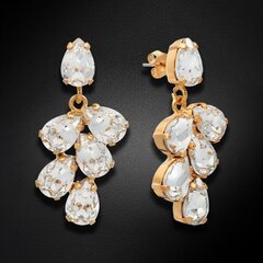 Naiste kõrvarõngad Diamond Sky „Amber II“ koos Preciosa kristallidega DS02A573 hind ja info | Kõrvarõngad | kaup24.ee