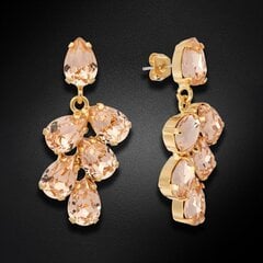 Naiste kõrvarõngad Diamond Sky „Amber II (Light Peach)“ koos Preciosa kristallidega DS02A574 hind ja info | Kõrvarõngad | kaup24.ee