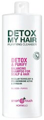 Очищающий шампунь для волос Montibello Smart Touch Detox My Hair цена и информация | Шампуни | kaup24.ee