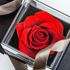 Подарочная коробка с 1 мыльной розой (украшения в подарочный набор не входят), LIVMAN цена и информация | Другие подарки | kaup24.ee