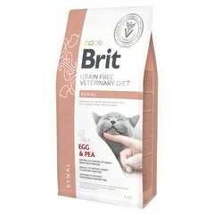 Kuivtoit Brit GF Veterinary Diets täiskasvanud kassidele muna ja hernestega Renal, 5 kg цена и информация | Сухой корм для кошек | kaup24.ee