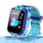 Q12 Blue цена и информация | Nutikellad (smartwatch) | kaup24.ee