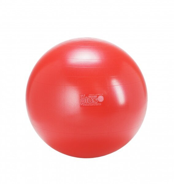 Gymnic Classic pall 55 punane hind ja info | Võimlemispallid | kaup24.ee