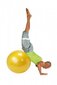 Gymnic Plus pall 65 kollane цена и информация | Võimlemispallid | kaup24.ee