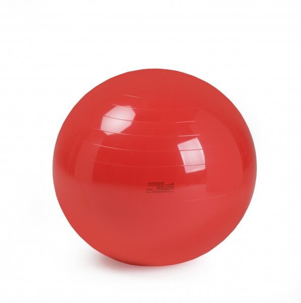 Physio Gymnic pall 85 cm hind ja info | Võimlemispallid | kaup24.ee