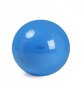 Physio Gymnic pall 95 cm hind ja info | Võimlemispallid | kaup24.ee