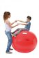 Physio Gymnic pall 120 cm hind ja info | Võimlemispallid | kaup24.ee