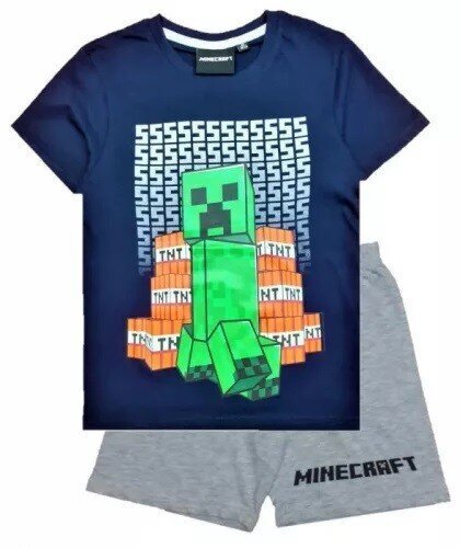 Laste T-särk ja püksid komplekt Minecraft hind ja info | Komplektid poistele | kaup24.ee