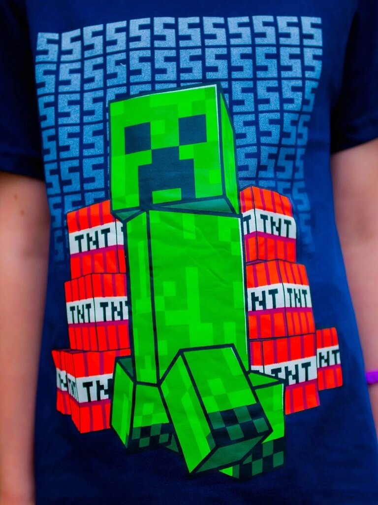 Laste T-särk ja püksid komplekt Minecraft hind ja info | Komplektid poistele | kaup24.ee