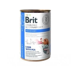 Brit GF Veterinary Diets для взрослых собак и кошек с бараниной и горошком Recovery, 0,4 кг цена и информация | Консервы для собак | kaup24.ee