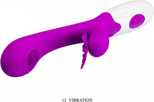 Lybaile Pretty Love Moth Clitoris Vibrator Purple hind ja info | Vibraatorid | kaup24.ee