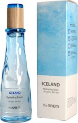 Näotoonik The Saem Iceland Toitev, 160 ml hind ja info | Näopuhastusvahendid | kaup24.ee