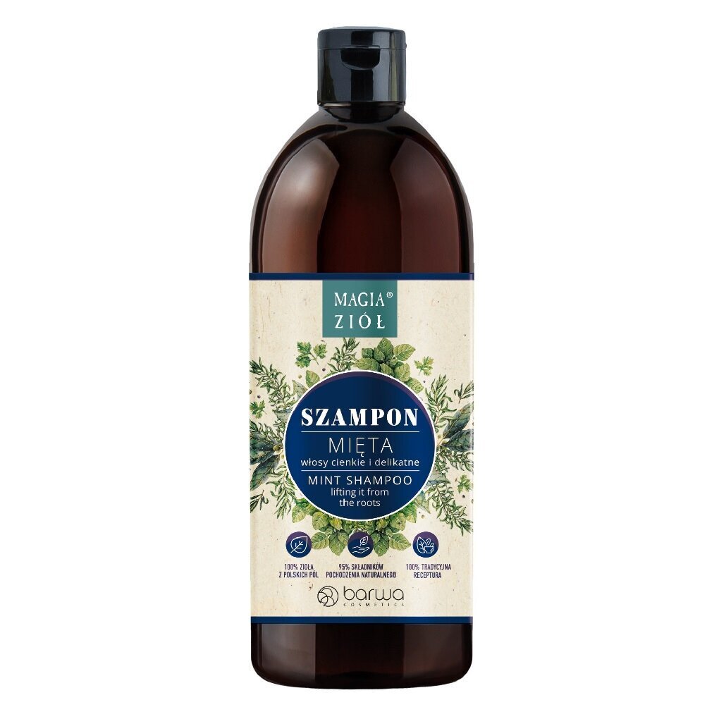 Juuksešampoon Barwa Magic of Herbs Mint, 450ml цена и информация | Šampoonid | kaup24.ee