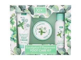 Komplekt jalahoolduseks Xpel Eucalyptus & Peppermint: jalakoorija, 100 ml + jalageel leotamiseks, 100 ml + jalakreem, 100 ml цена и информация | Кремы, лосьоны для тела | kaup24.ee