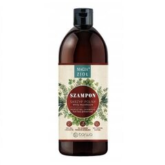 Шампунь для вьющихся волос Barwa Magic of Herbs Field, 450мл цена и информация | Шампуни | kaup24.ee