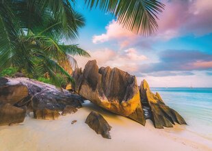 Пазл Ravensburger Beautiful Islands Seychelles, 16907, 1000 д. цена и информация | Пазлы | kaup24.ee