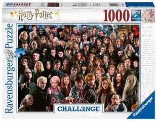 Пазл Ravensburger Challange Harry Potter, 14988, 1000 д. цена и информация | Пазлы | kaup24.ee