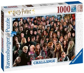 Пазл Ravensburger Challange Harry Potter, 14988, 1000 д. цена и информация | Пазлы | kaup24.ee