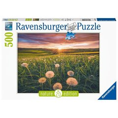 Пазл Ravensburger 500 шт Поле одуванчиков цена и информация | Пазлы | kaup24.ee