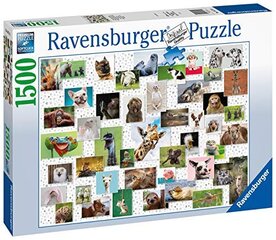 Паззл Забавные животные Ravensburger цена и информация | Пазлы | kaup24.ee