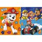 Pusle 15 osa, Meet Paw Patrol hind ja info | Pusled | kaup24.ee