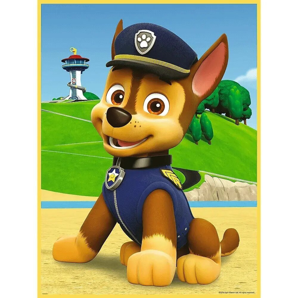 Pusle Baby Maxi 2x10 tükki, Elements Team Paw Patrol hind ja info | Pusled | kaup24.ee