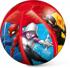 Rannapall - Spiderman hind ja info | Mänguasjad (vesi, rand ja liiv) | kaup24.ee