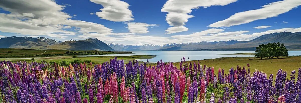 Pusle 1000 osa, Lake Tekapo hind ja info | Pusled | kaup24.ee