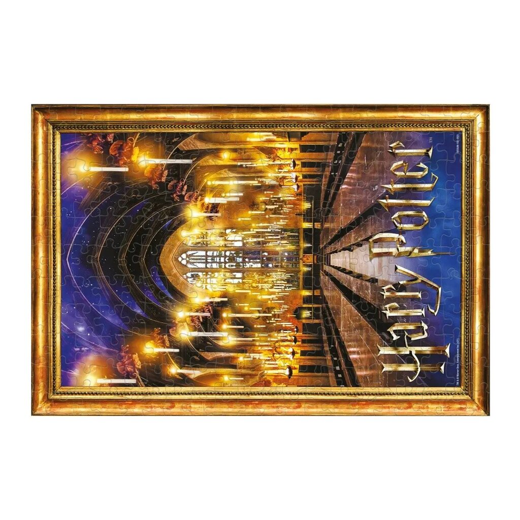 Pusle Harry Potter Suur Hall 500 osa hind ja info | Pusled | kaup24.ee