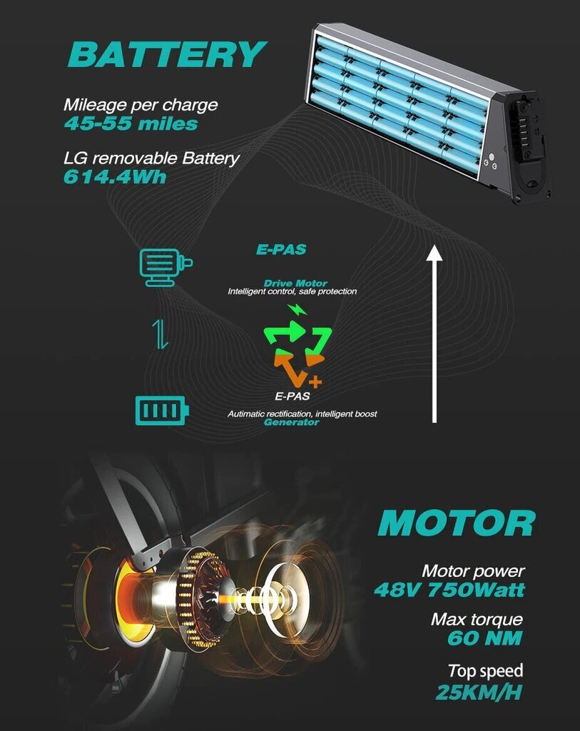 Elektrijalgratas Engwe Engine PRO, 20", sinine, 1000W, 16 Ah hind ja info | Elektrirattad | kaup24.ee