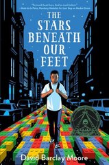 Stars Beneath Our Feet цена и информация | Книги для подростков и молодежи | kaup24.ee