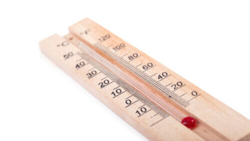 Termomeeter puidust hind ja info | Ilmajaamad, termomeetrid | kaup24.ee