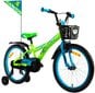 Jalgratas 20" Alvin Karbon, sinine/roheline hind ja info | Jalgrattad | kaup24.ee