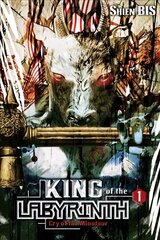 King of the Labyrinth, Vol. 1 (light novel) цена и информация | Фантастика, фэнтези | kaup24.ee