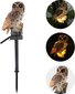 Aia LED-lamp Öökull, 13 cm/42,5 cm hind ja info | Aia- ja õuevalgustid | kaup24.ee