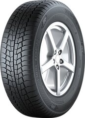 GISLAVED Euro Frost 6 205/55R16 91H цена и информация | Зимние шины | kaup24.ee