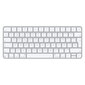 Apple MK2A3Y/A hind ja info | Klaviatuurid | kaup24.ee