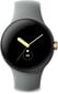 Google Pixel Watch Champagne Gold/Hazel цена и информация | Nutikellad (smartwatch) | kaup24.ee