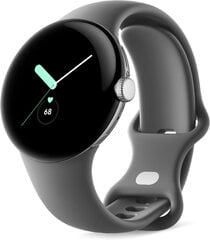 Google Pixel Watch Polished Silver/Charcoal цена и информация | Смарт-часы (smartwatch) | kaup24.ee