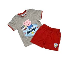 Комплект для мальчиков Peppa pig цена и информация | Рубашки для мальчиков | kaup24.ee